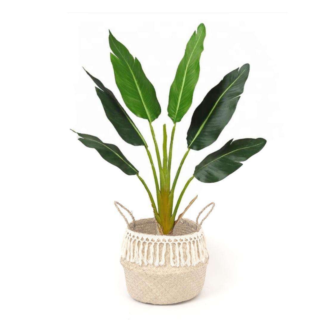 POKHA - Seagrass Basket With Tassel ArtiPlanto