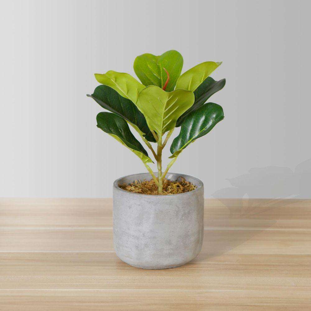 Panuco Potted Faux Fiddle Plant ArtiPlanto