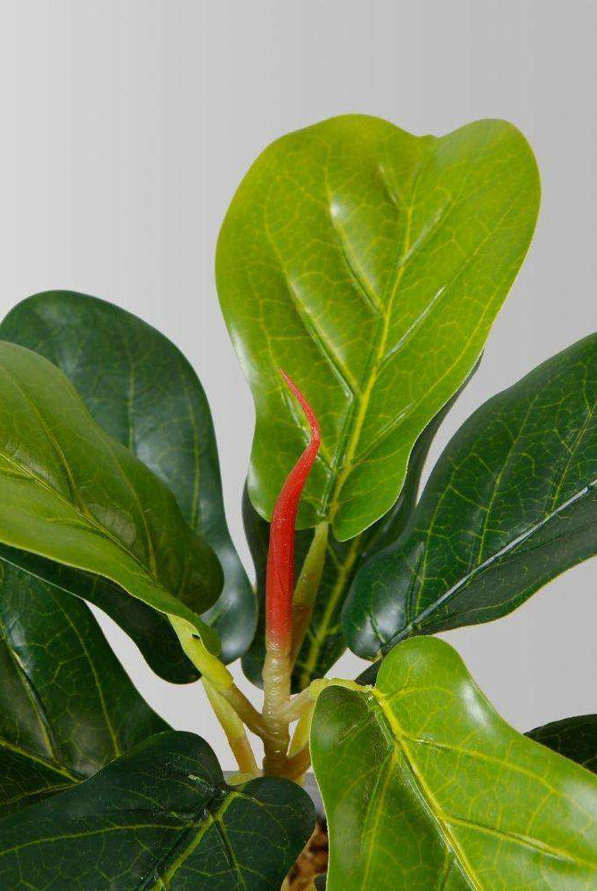 Panuco Potted Faux Fiddle Plant ArtiPlanto