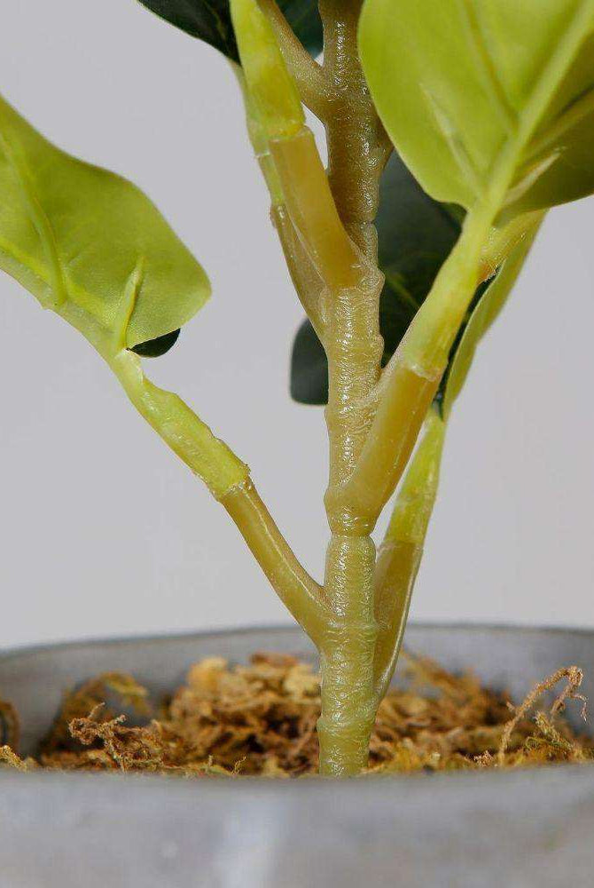 Panuco Potted Faux Fiddle Plant ArtiPlanto