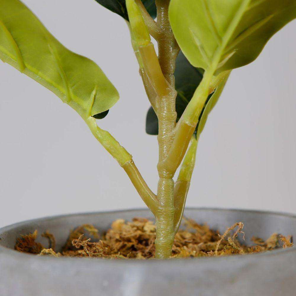 Panuco Potted Faux Fiddle Plant ArtiPlanto