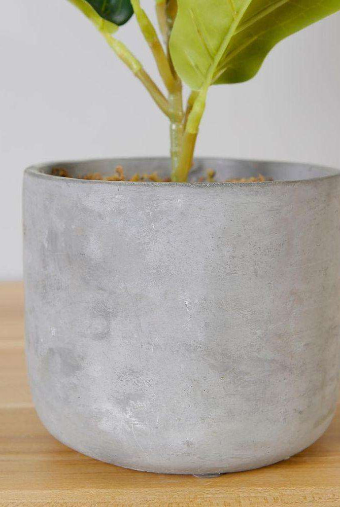 Panuco Potted Faux Fiddle Plant ArtiPlanto
