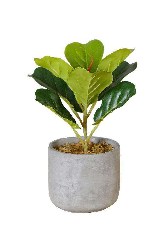 Panuco Potted Faux Fiddle Plant ArtiPlanto