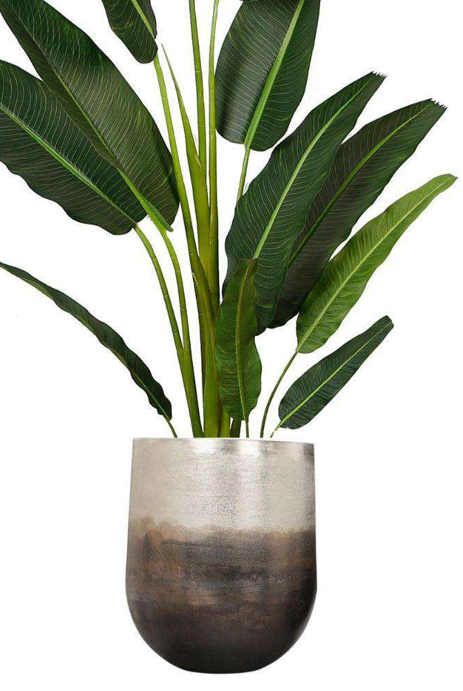 Petra - Brass Planter (Multiple Sizes) ArtiPlanto