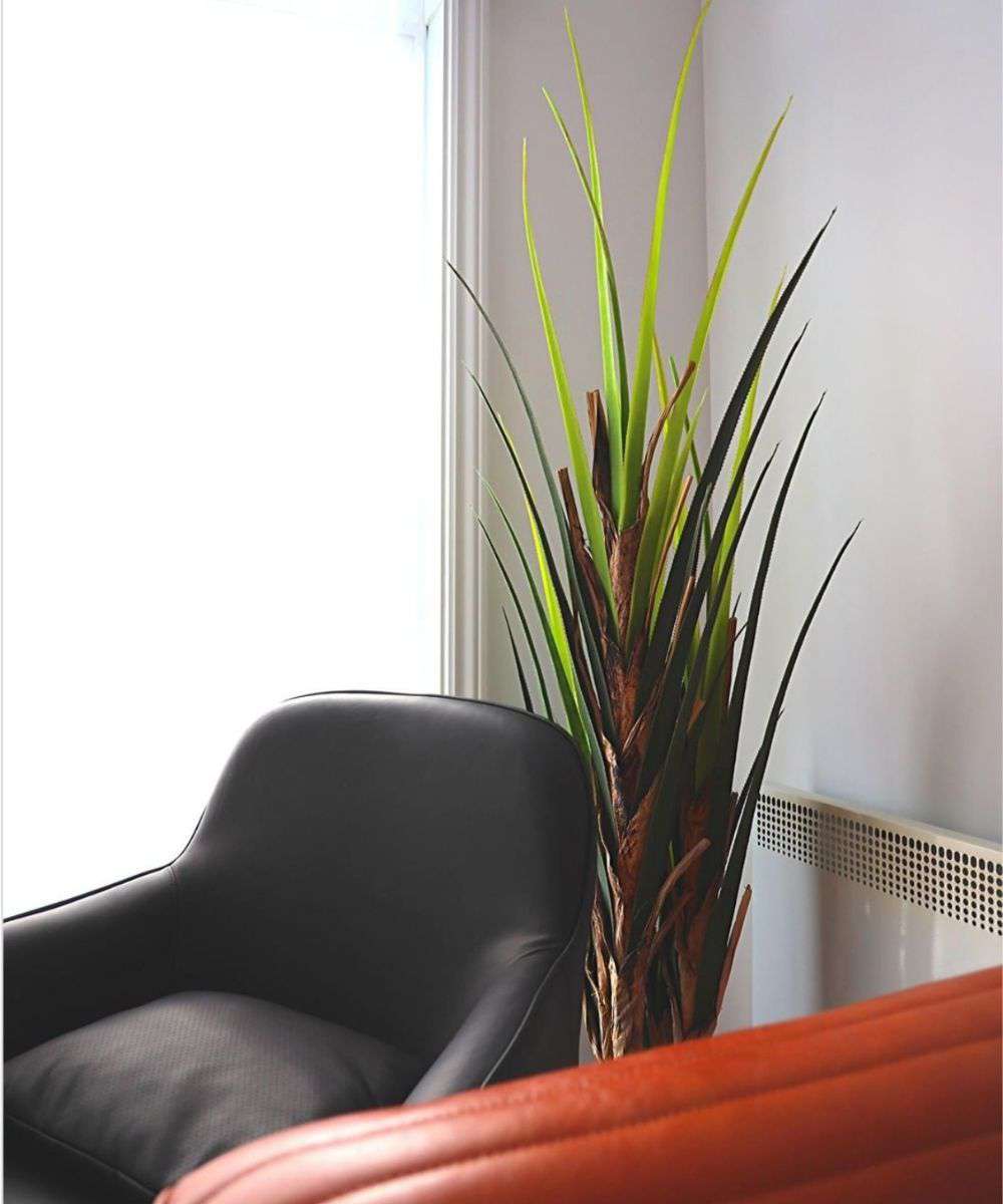 RALU Artificial Agave Tree Potted Plant (Multiple Sizes) ArtiPlanto