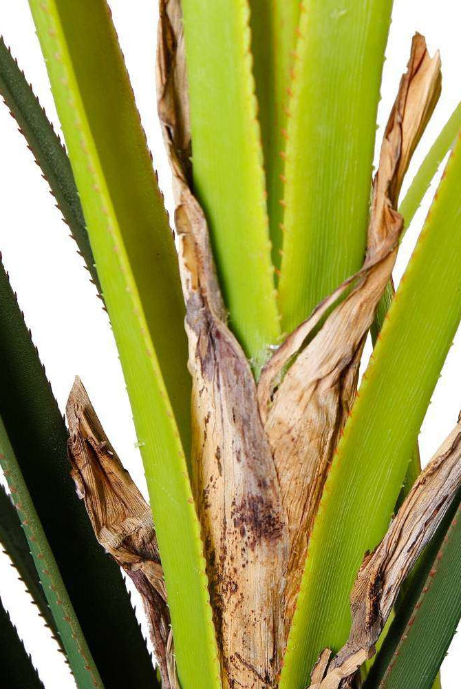 RALU Artificial Agave Tree Potted Plant (Multiple Sizes) ArtiPlanto