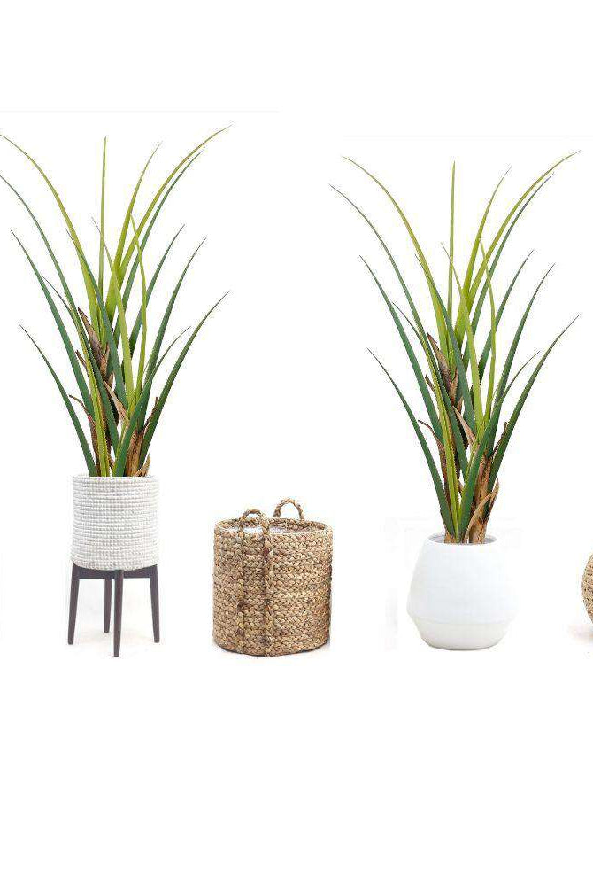 RALU Artificial Agave Tree Potted Plant (Multiple Sizes) ArtiPlanto