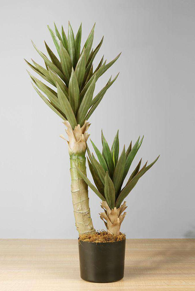 REMI Artificial Aloe Tree Potted Plant 3' ArtiPlanto
