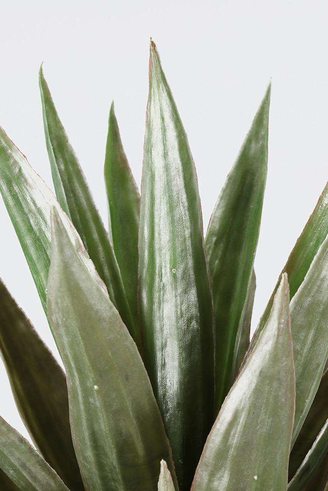 REMI Artificial Aloe Tree Potted Plant 3' ArtiPlanto