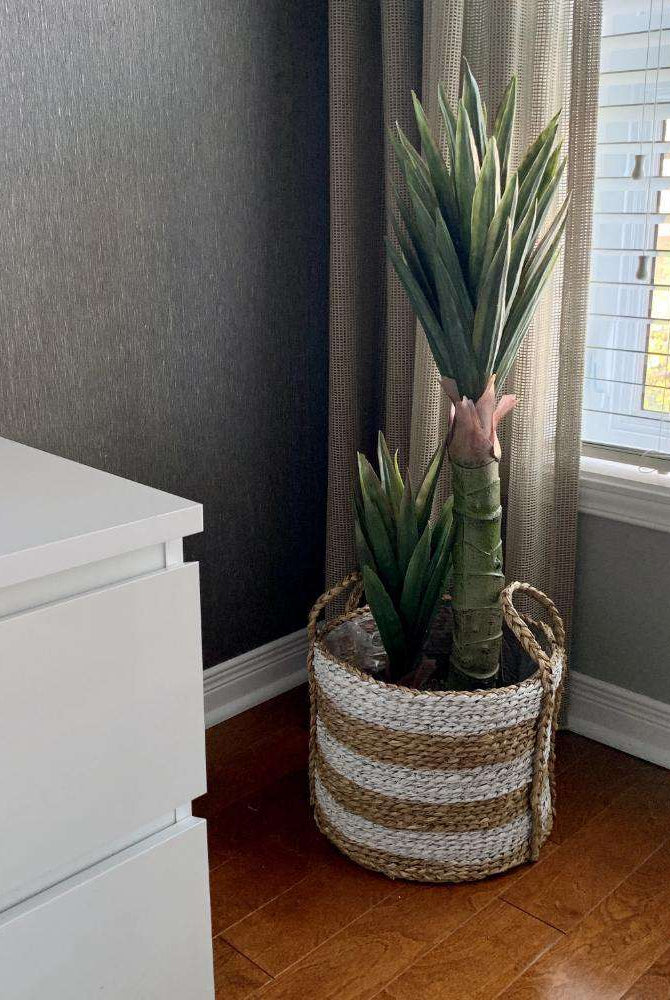 REMI Artificial Aloe Tree Potted Plant 3' ArtiPlanto