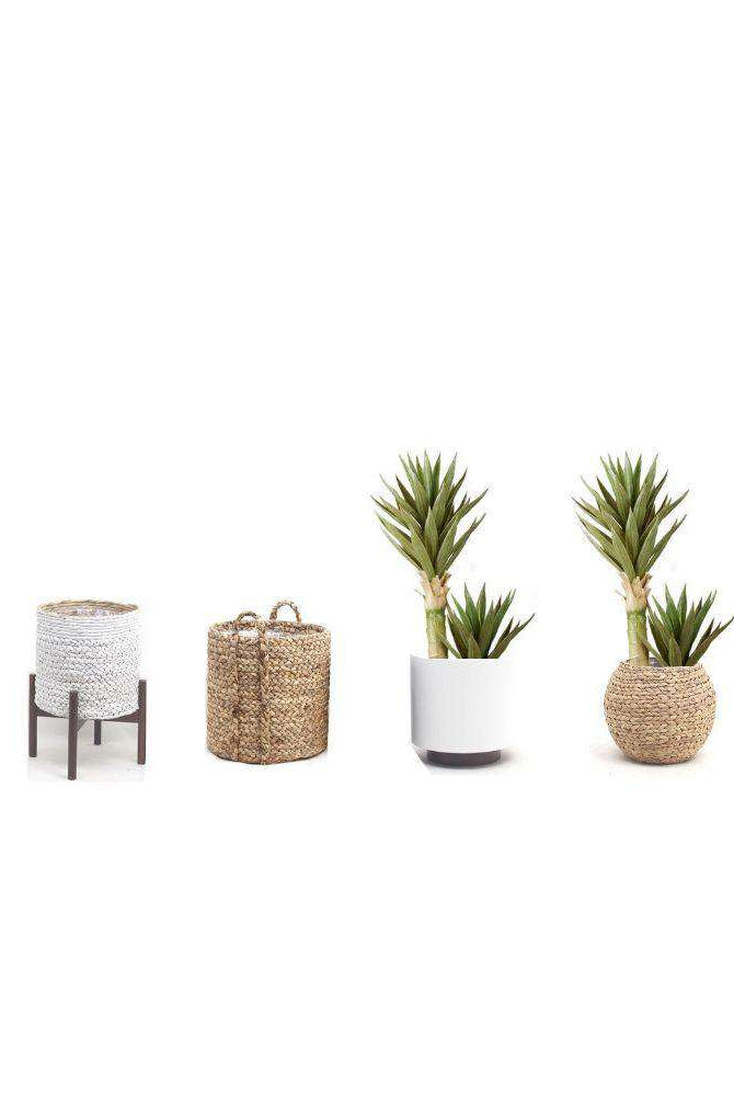 REMI Artificial Aloe Tree Potted Plant 3' ArtiPlanto