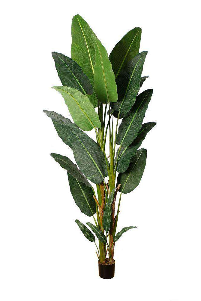 REYNA ARTIFICIAL TRAVELLERS PALM TREE POTTED PLANT 10' ArtiPlanto