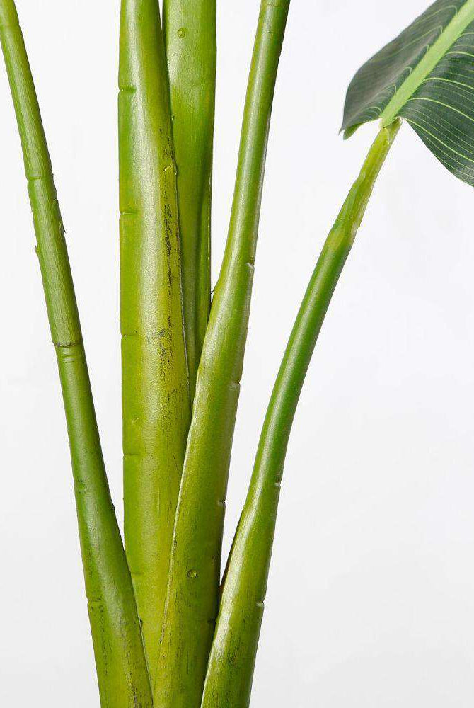 REYNA ARTIFICIAL TRAVELLERS PALM TREE POTTED PLANT 10' ArtiPlanto