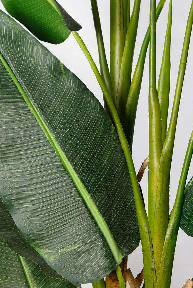REYNA ARTIFICIAL TRAVELLERS PALM TREE POTTED PLANT 10' ArtiPlanto