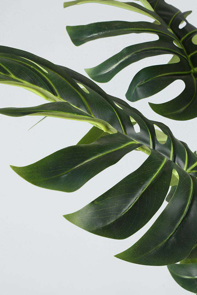 RITA Artificial Monstera Potted Plant (Multiple Sizes) ArtiPlanto