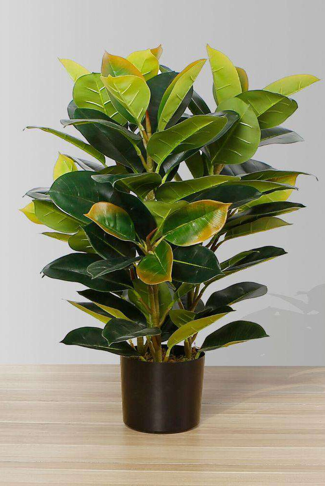 RUBI ARTIFICIAL RUBBER POTTED PLANT 2.5' ArtiPlanto