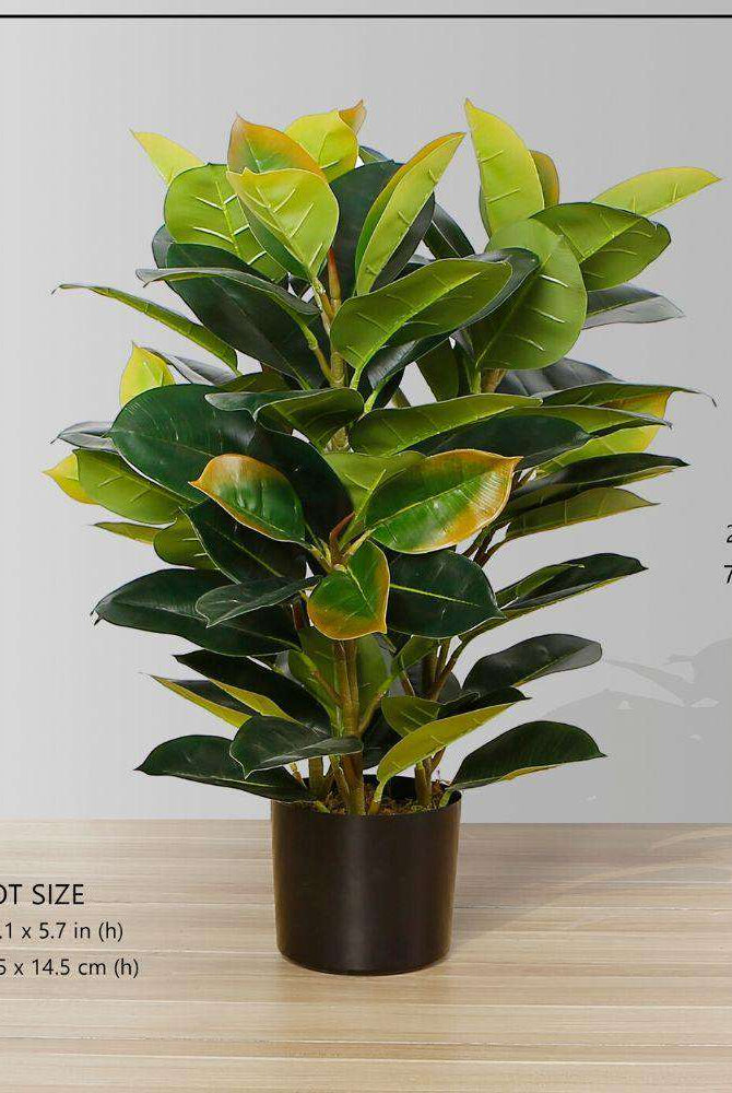 RUBI ARTIFICIAL RUBBER POTTED PLANT 2.5' ArtiPlanto