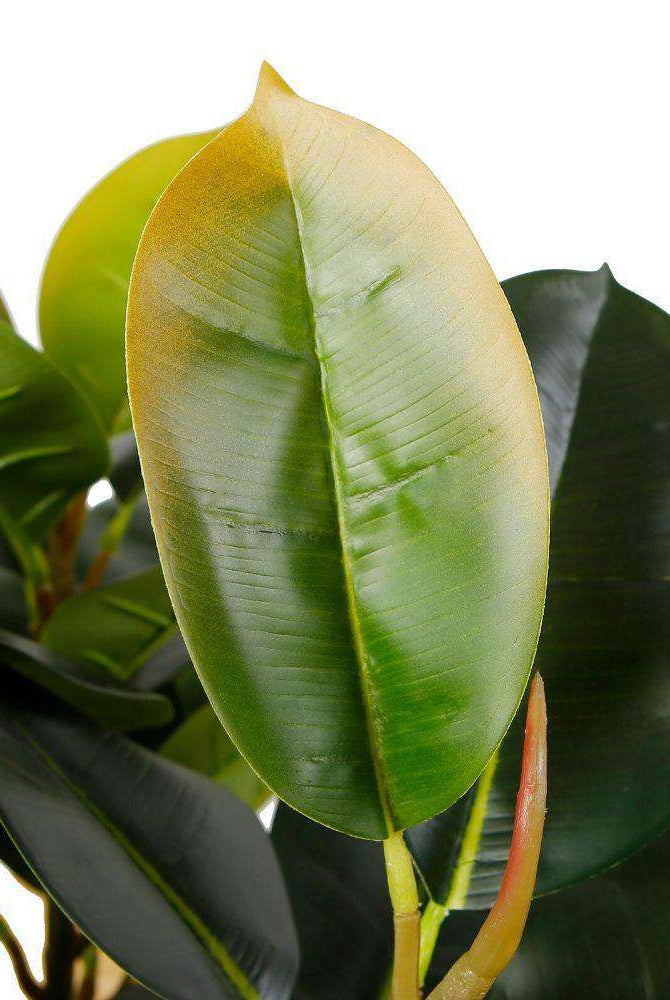 RUBI ARTIFICIAL RUBBER POTTED PLANT 2.5' ArtiPlanto