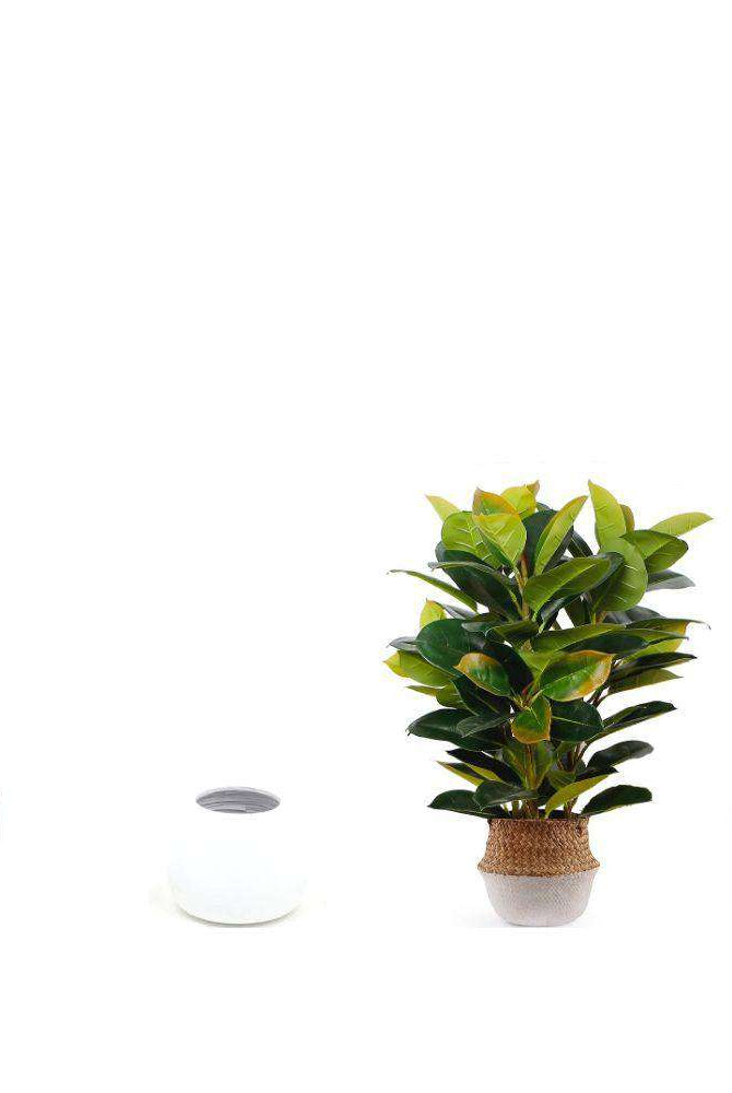 RUBI ARTIFICIAL RUBBER POTTED PLANT 2.5' ArtiPlanto