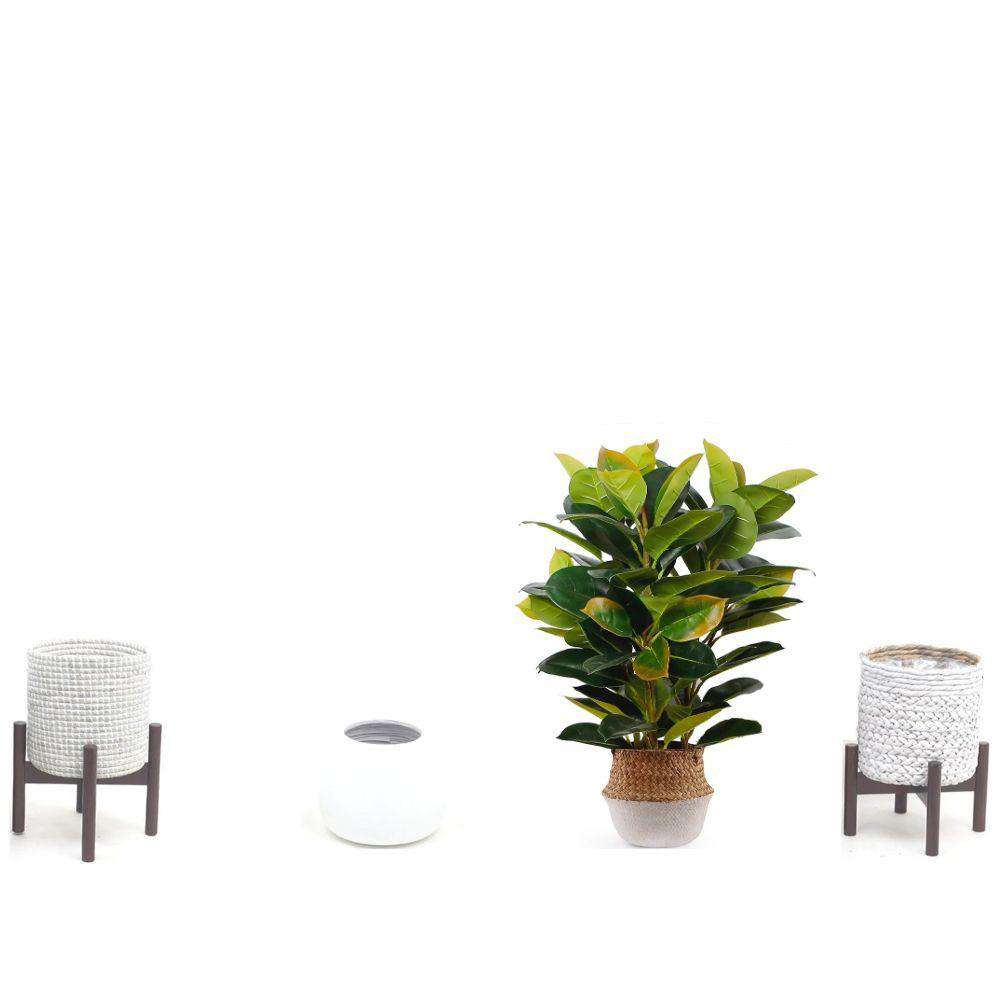 RUBI ARTIFICIAL RUBBER POTTED PLANT 2.5' ArtiPlanto