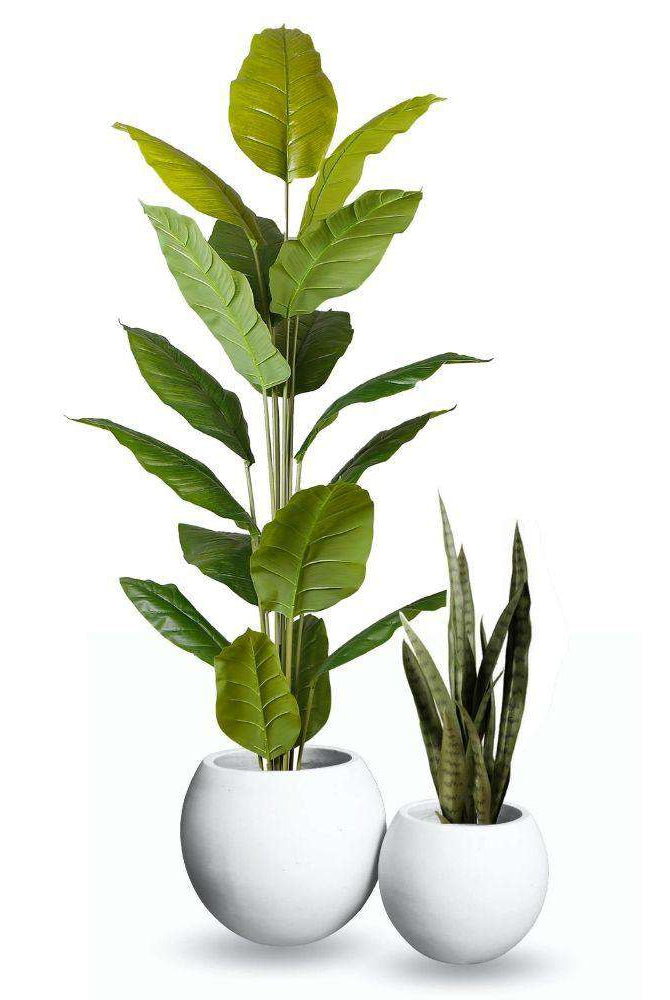 Rolo Round Cement Planter (Multiple Sizes) ArtiPlanto