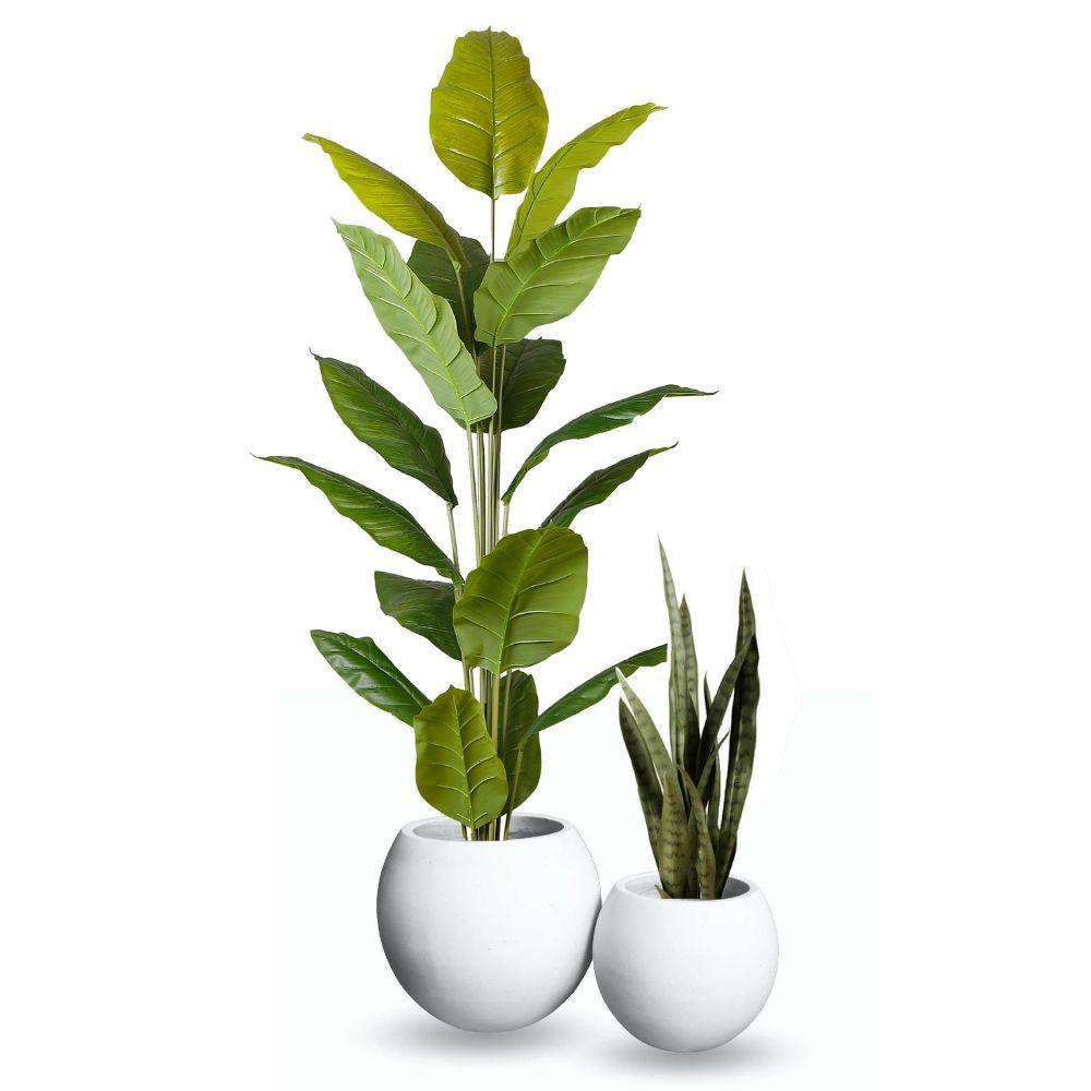 Rolo Round Cement Planter (Multiple Sizes) ArtiPlanto