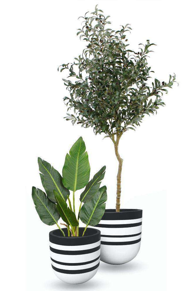 Rovos Cement Planter (Multiple Sizes) ArtiPlanto