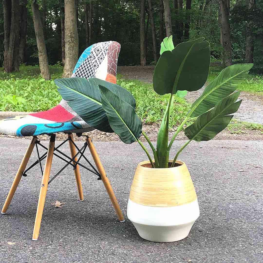 SAL M - Bamboo Floor Planter ArtiPlanto