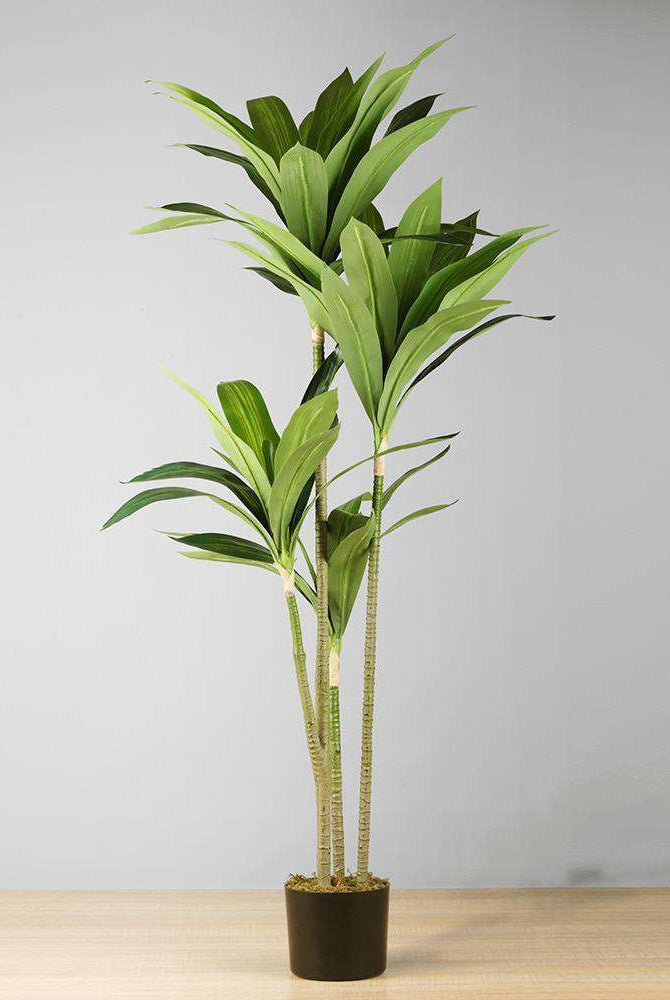 SAMY Artificial Dracaena Fragrans Potted Plant 51'' ArtiPlanto