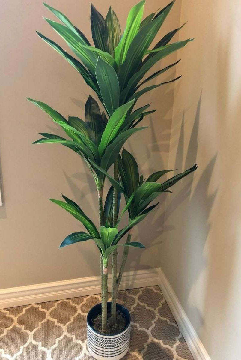 SAMY Artificial Dracaena Fragrans Potted Plant 51'' ArtiPlanto