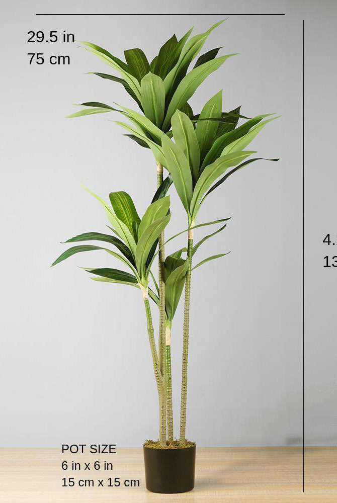 SAMY Artificial Dracaena Fragrans Potted Plant 51'' ArtiPlanto