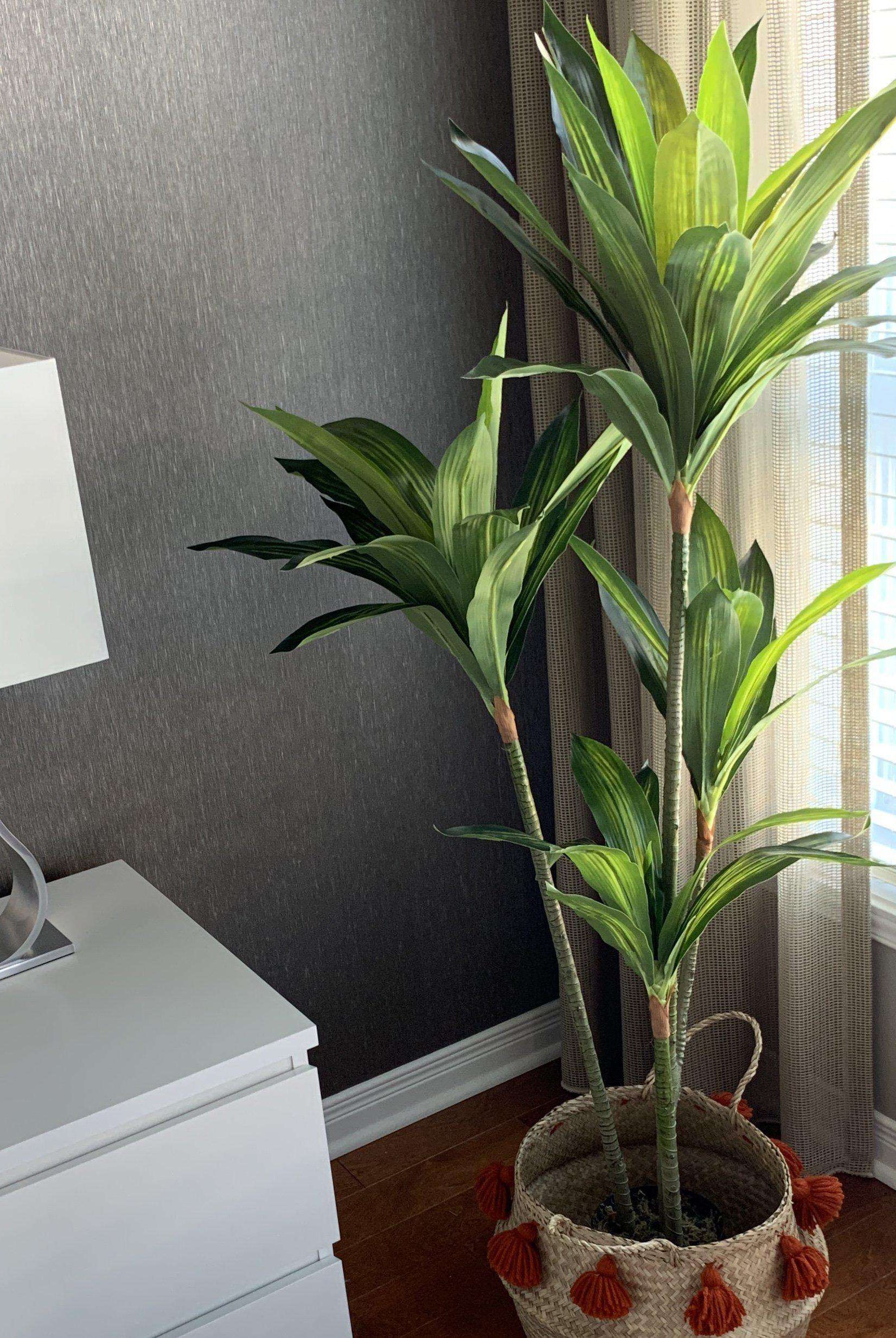SAMY Artificial Dracaena Fragrans Potted Plant 51'' ArtiPlanto