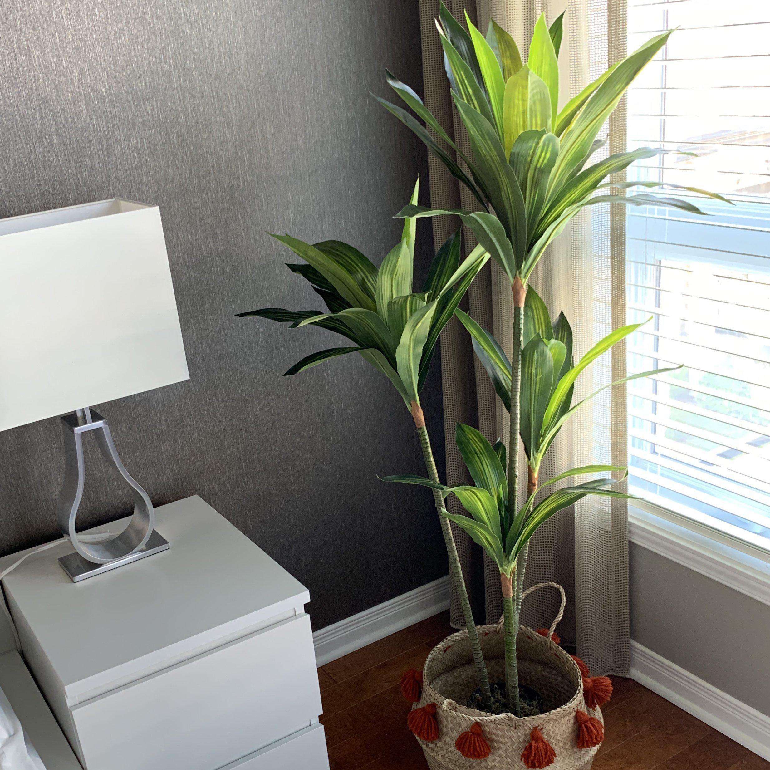 SAMY Artificial Dracaena Fragrans Potted Plant 51'' ArtiPlanto
