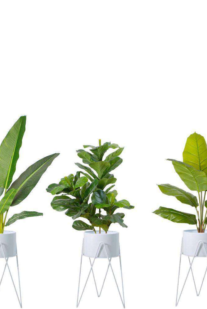 SHIRA WHITE PLANTER WITH HAIRPIN LEGS (61CM) ArtiPlanto