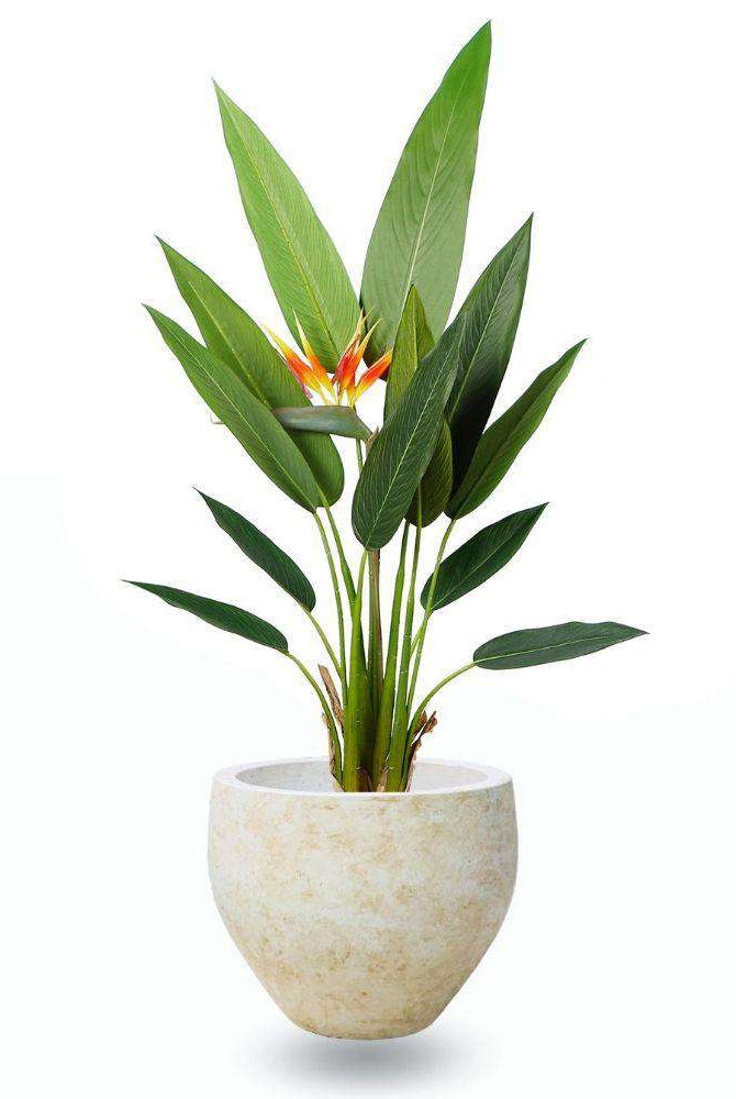 Sadira Cement Planter (Multiple Sizes) ArtiPlanto