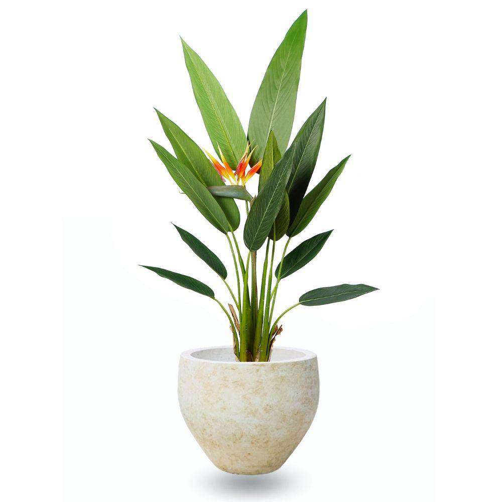 Sadira Cement Planter (Multiple Sizes) ArtiPlanto