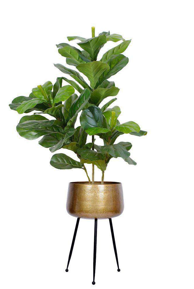 Sara - Brass Planter With Black Legs Brass Planter