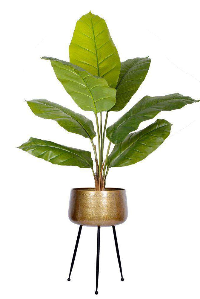 Sara - Brass Planter With Black Legs Brass Planter