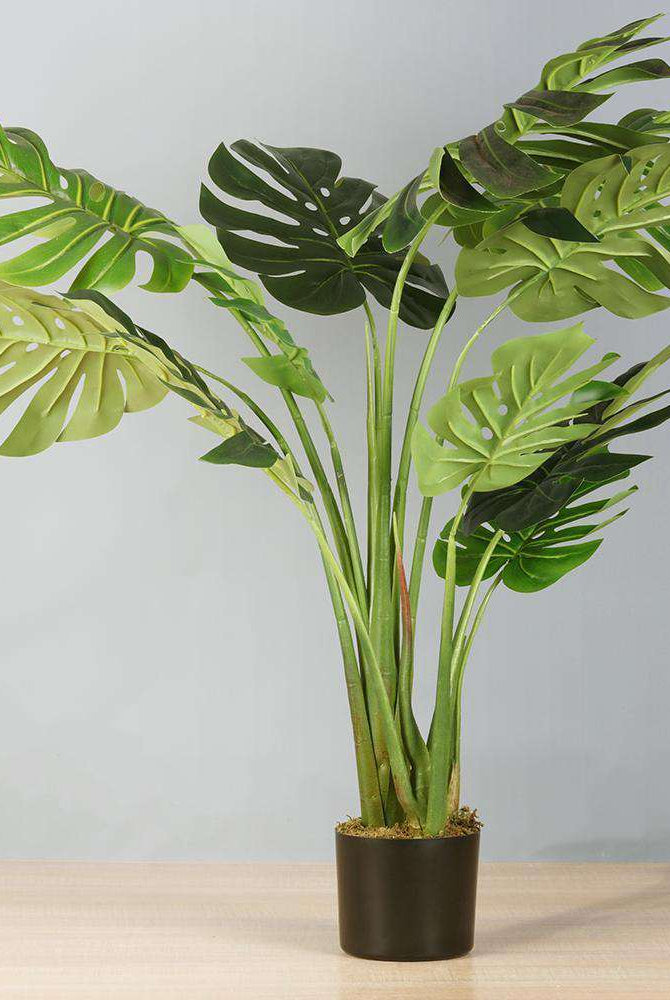 TERA Monstera Artificial Potted Plant (Multiple Sizes) ArtiPlanto