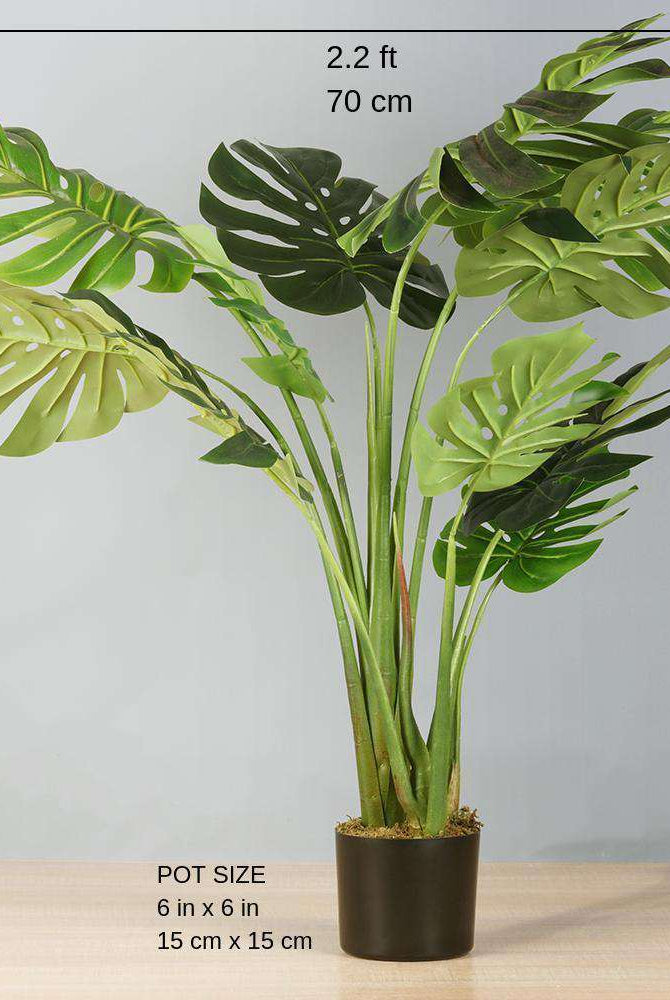 TERA Monstera Artificial Potted Plant (Multiple Sizes) ArtiPlanto