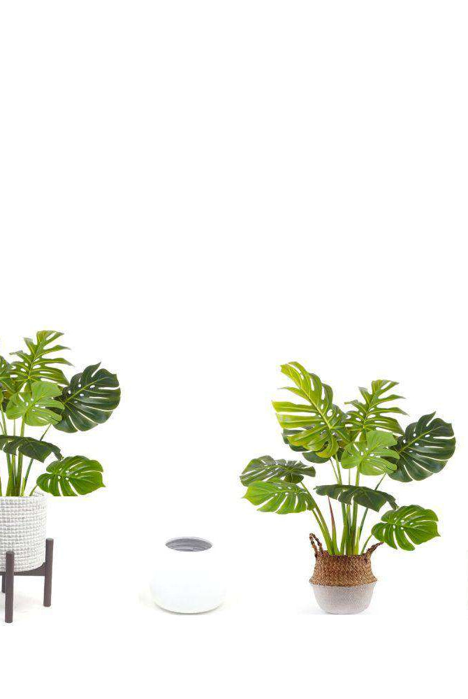 TERA Monstera Artificial Potted Plant (Multiple Sizes) ArtiPlanto