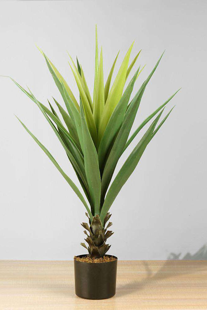 TILA Artificial Agave Tree Potted Plant 3' ArtiPlanto