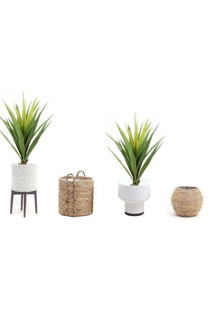 TILA Artificial Agave Tree Potted Plant 3' ArtiPlanto