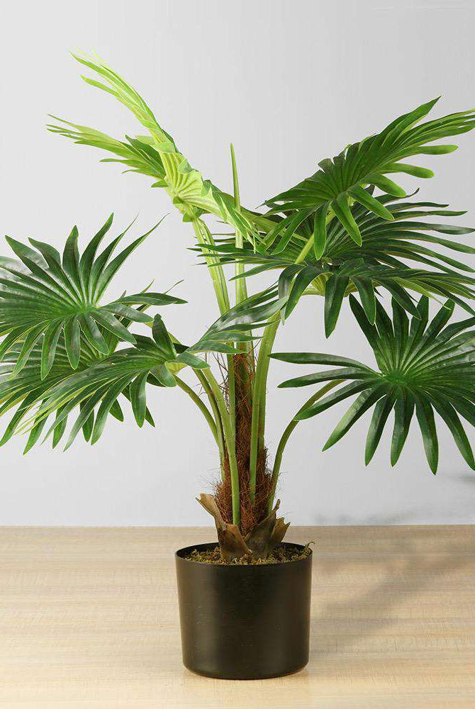 TITA Artificial Fan Palm Potted Plant 26'' ArtiPlanto