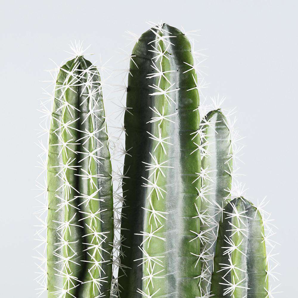 TITO Artificial Cactus Potted Plant 41'' ArtiPlanto