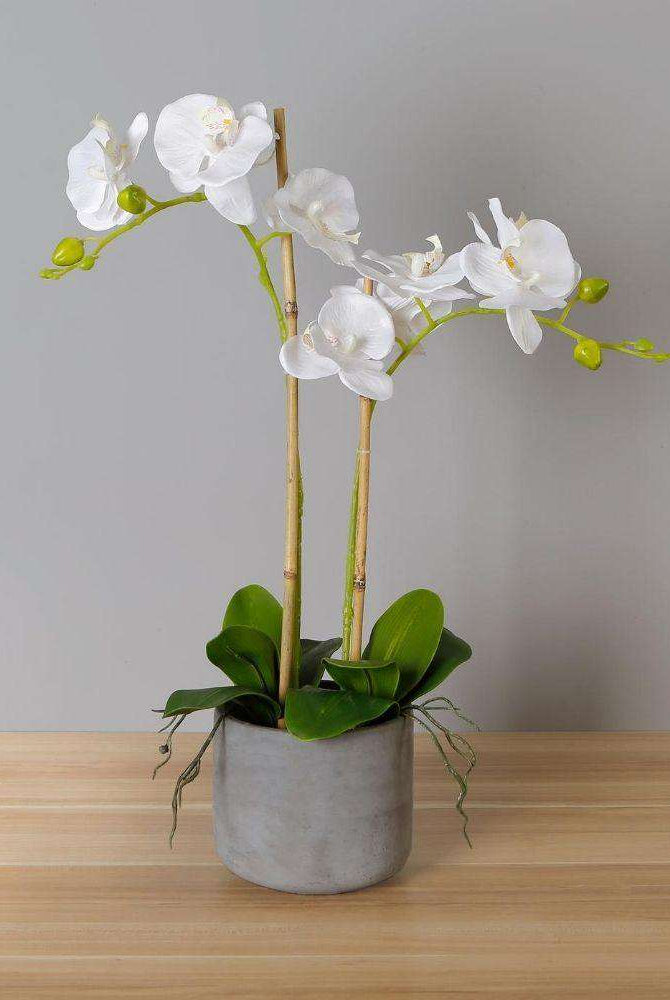 Tampico Faux Potted Orchid Floral Arrangement 24 Inches ArtiPlanto