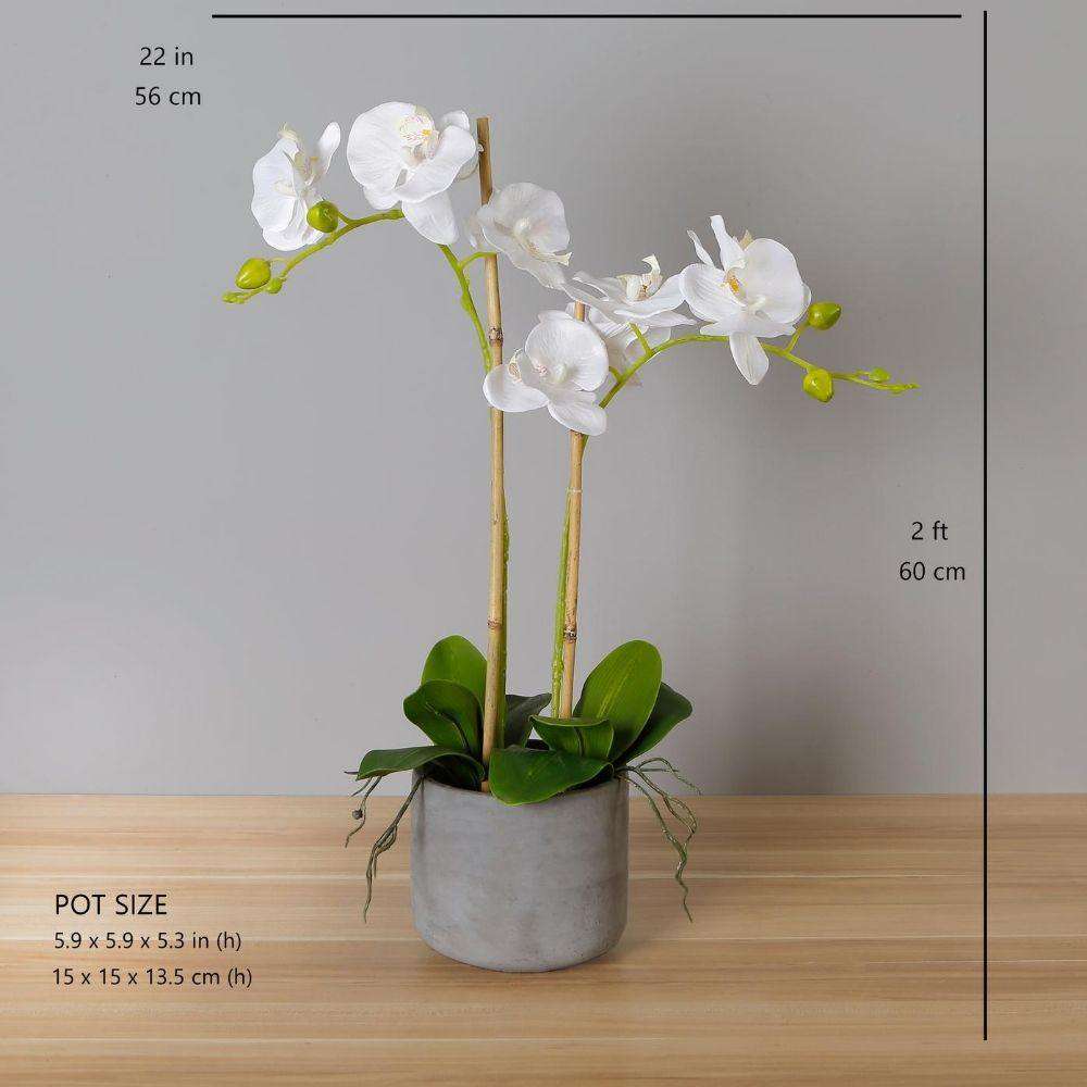 Tampico Faux Potted Orchid Floral Arrangement 24 Inches ArtiPlanto