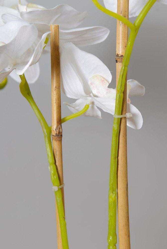 Tampico Faux Potted Orchid Floral Arrangement 24 Inches ArtiPlanto