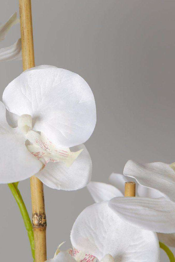 Tampico Faux Potted Orchid Floral Arrangement 24 Inches ArtiPlanto