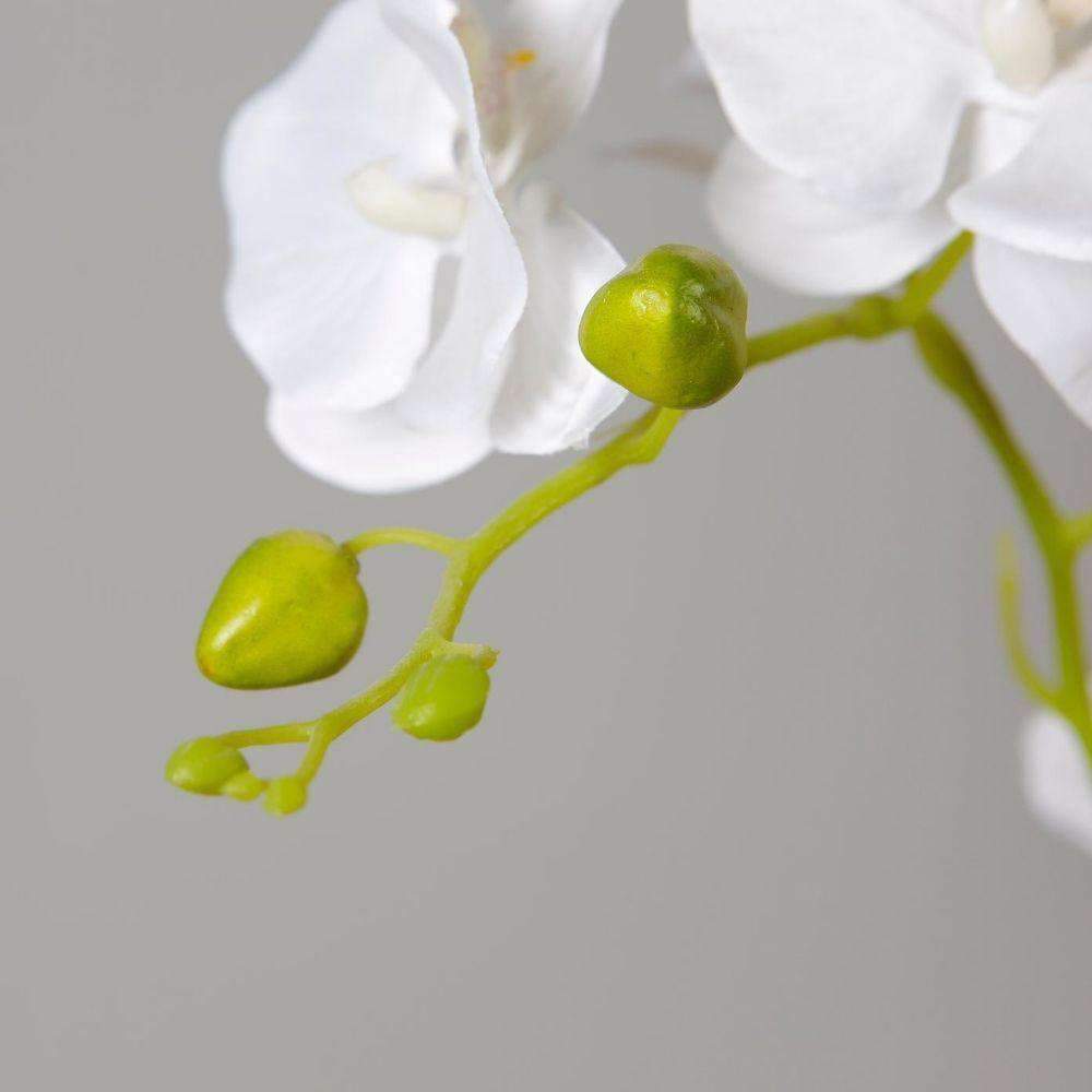 Tampico Faux Potted Orchid Floral Arrangement 24 Inches ArtiPlanto